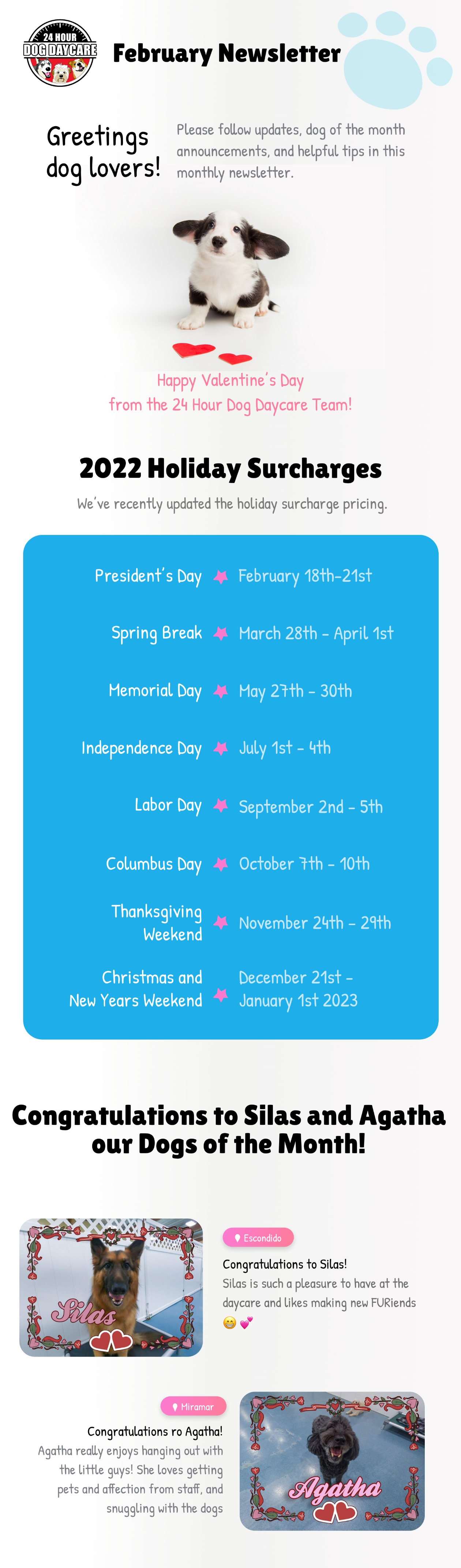 Newsletter