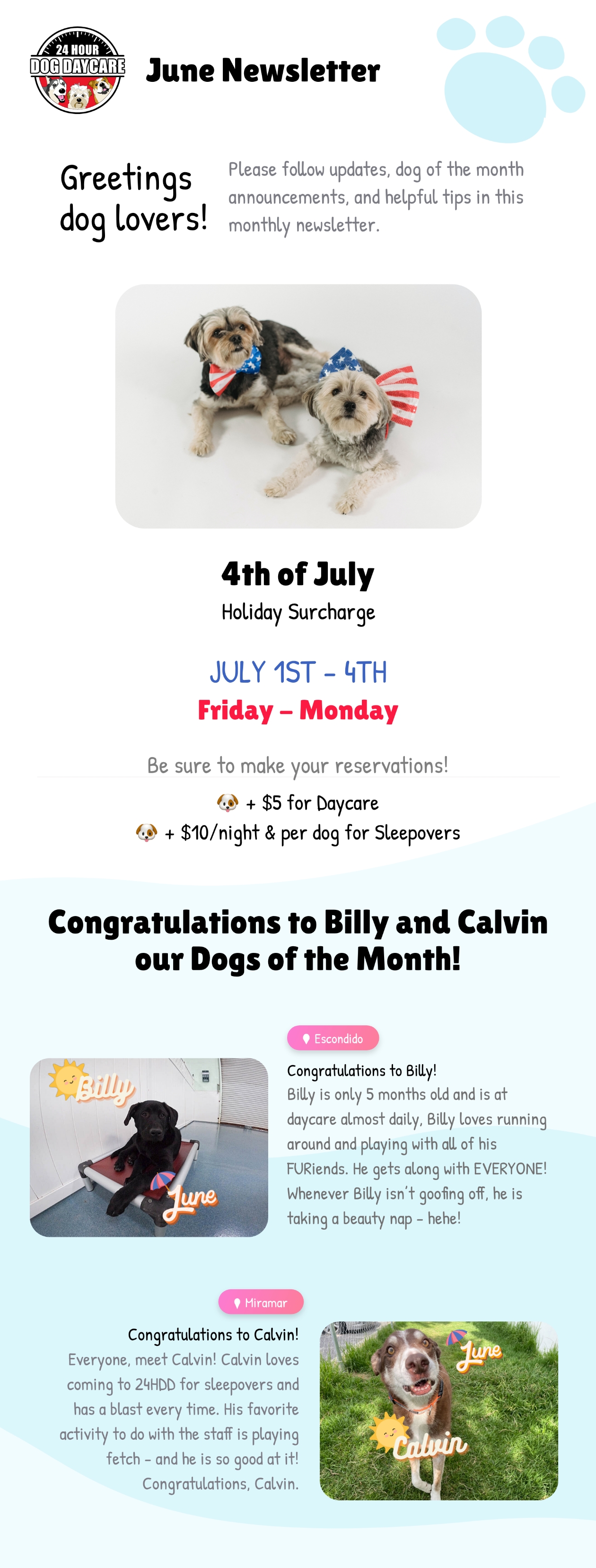Newsletter