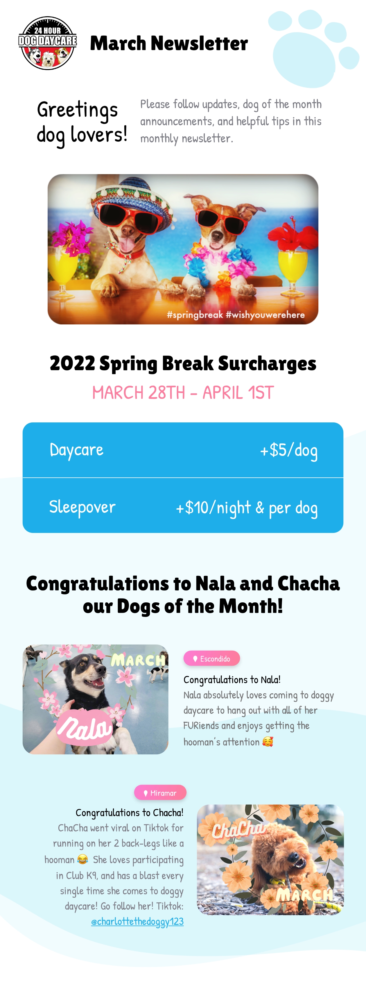 Newsletter