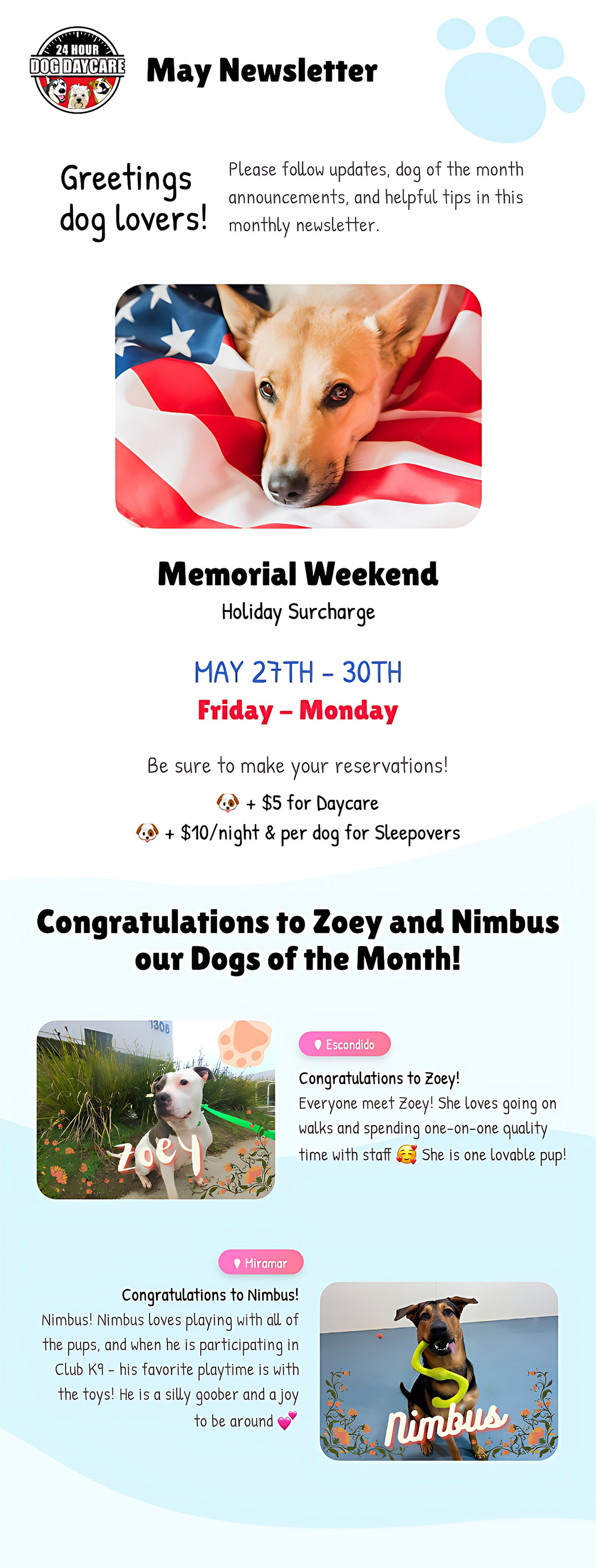 Newsletter