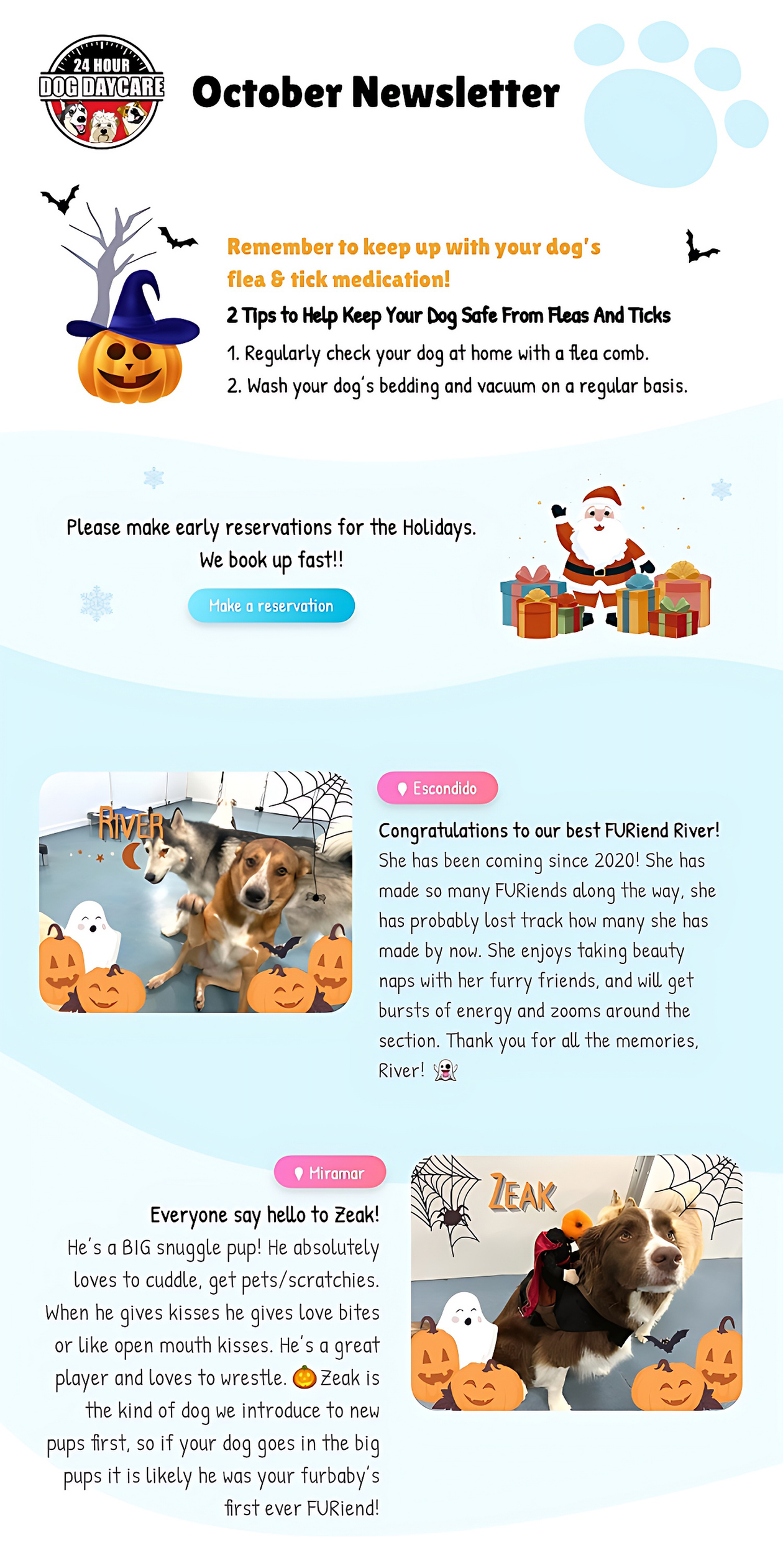 Newsletter