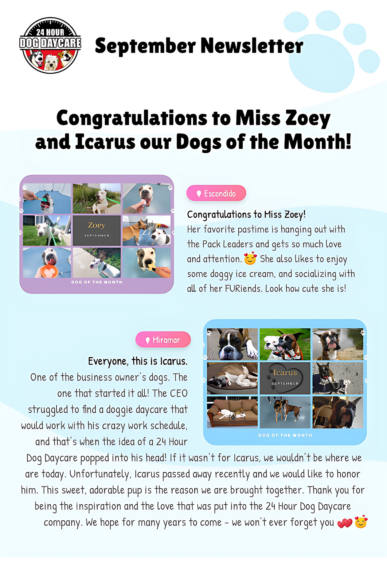 Newsletter
