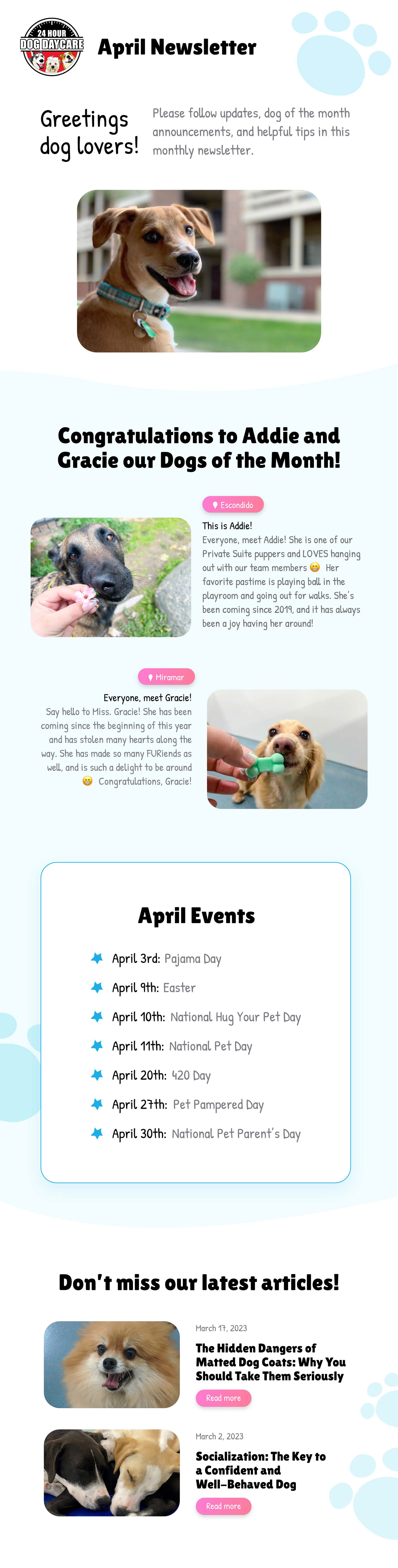 Newsletter