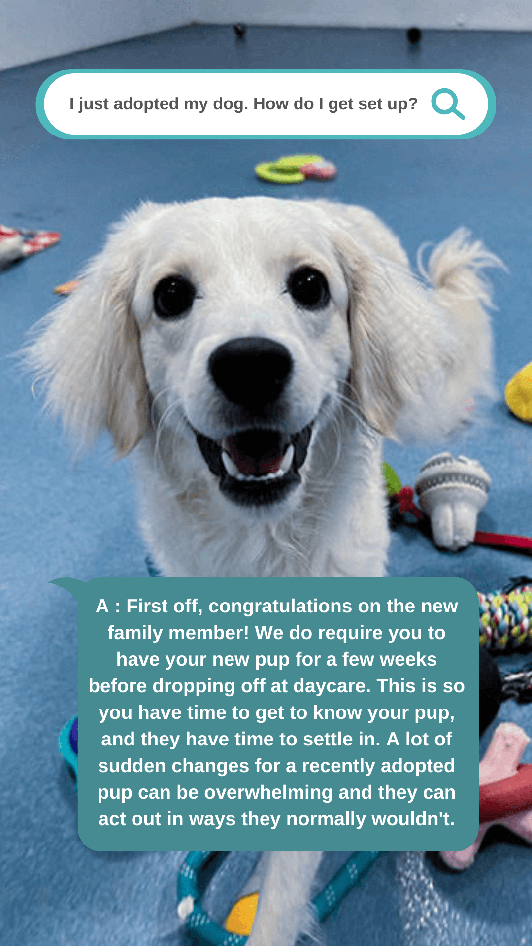 Adopted
