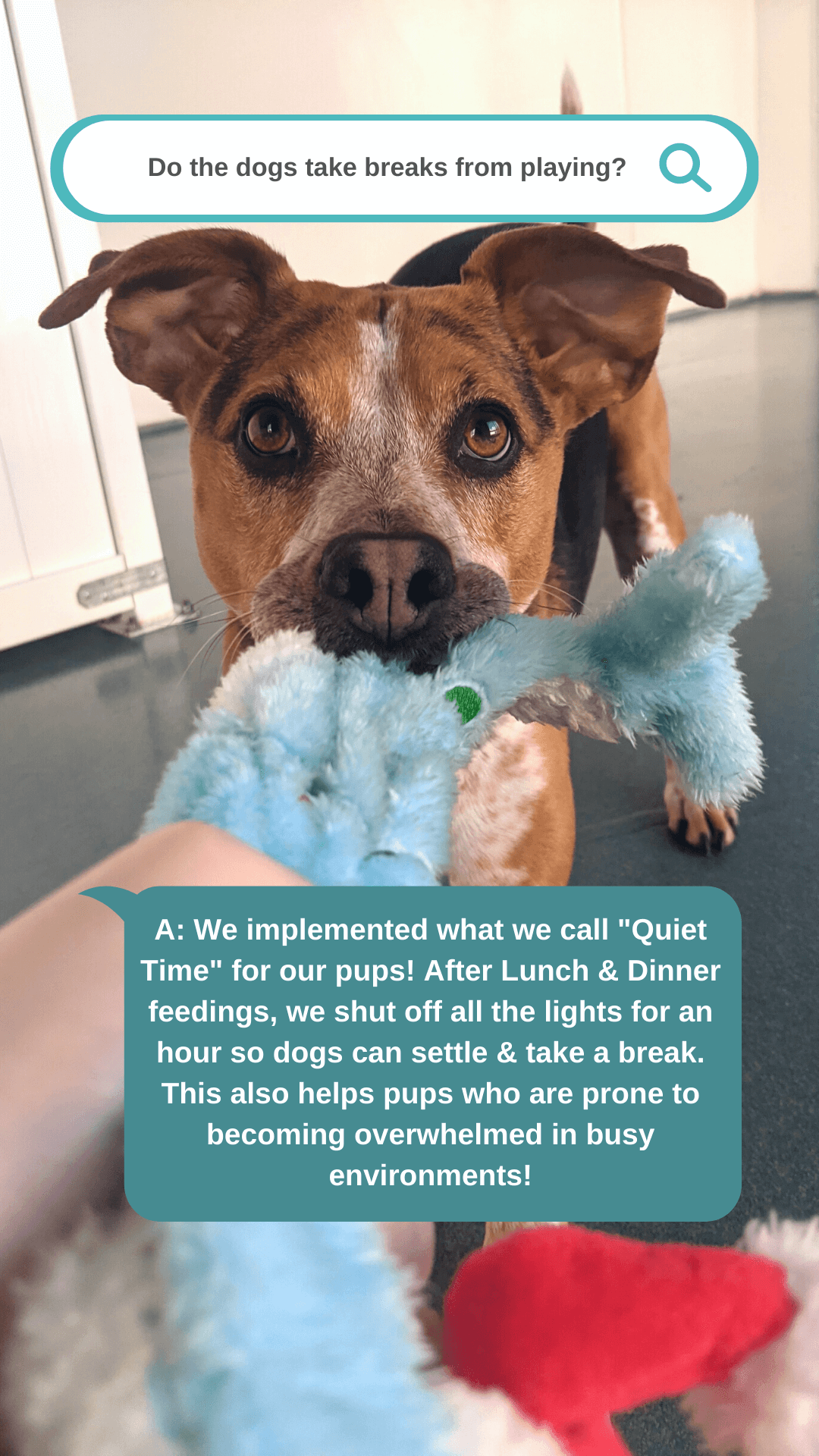 Quiet Time