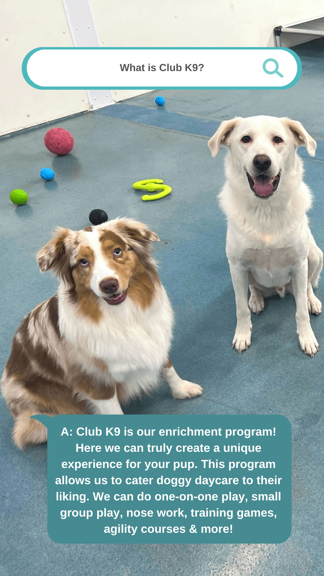 Club-K9