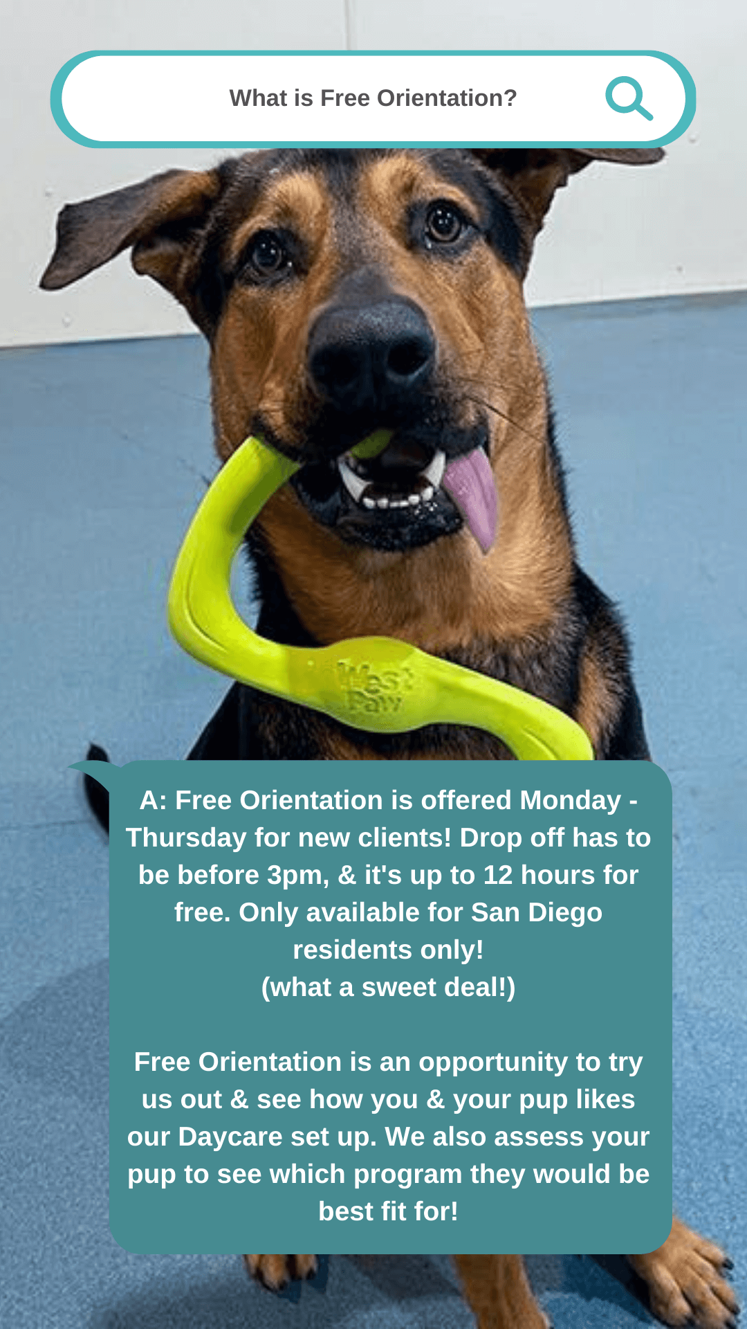 Orientation