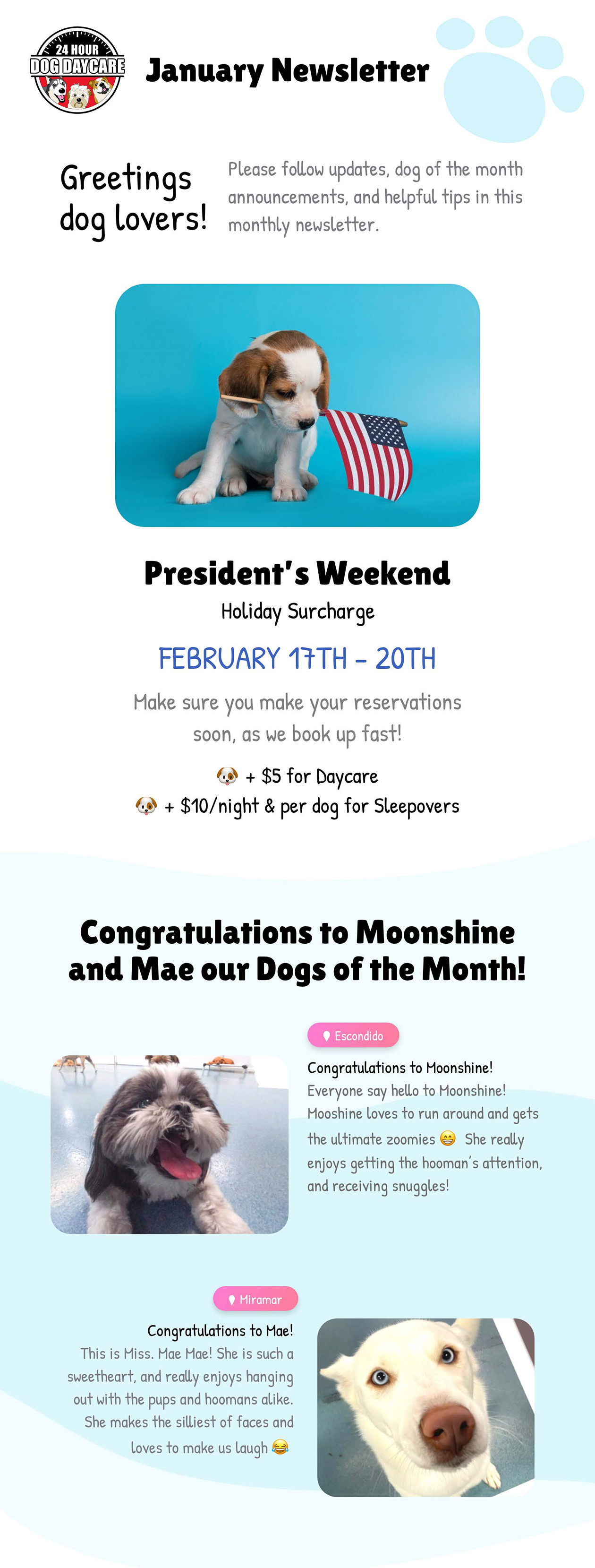 Newsletter