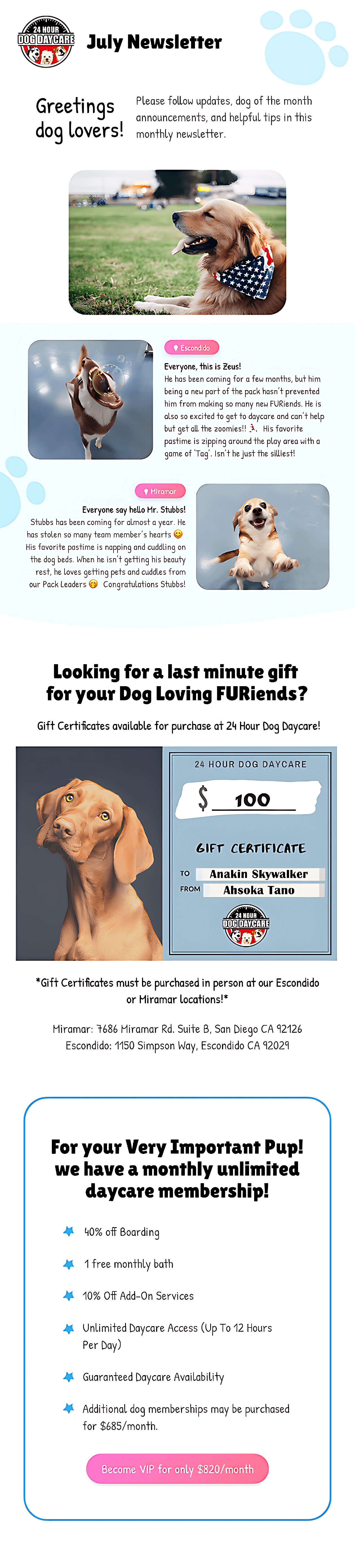 Newsletter
