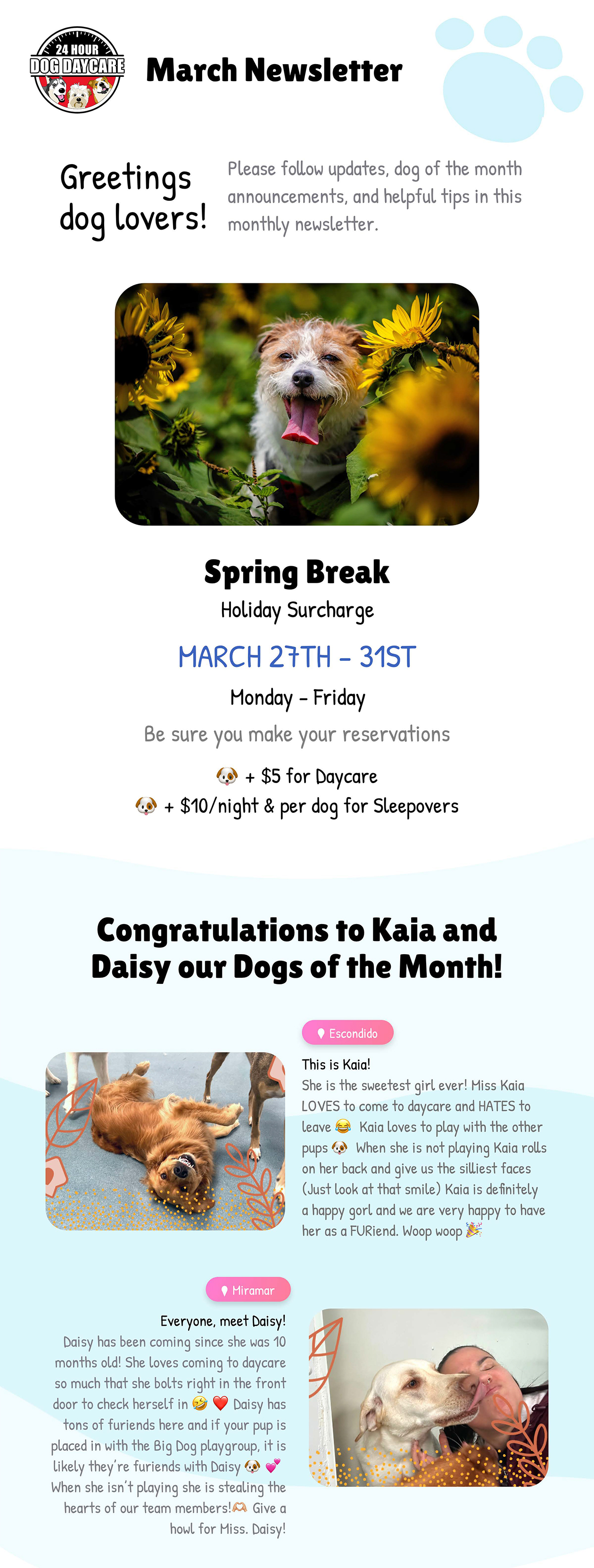 Newsletter