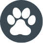 Dog Overnight Daycare