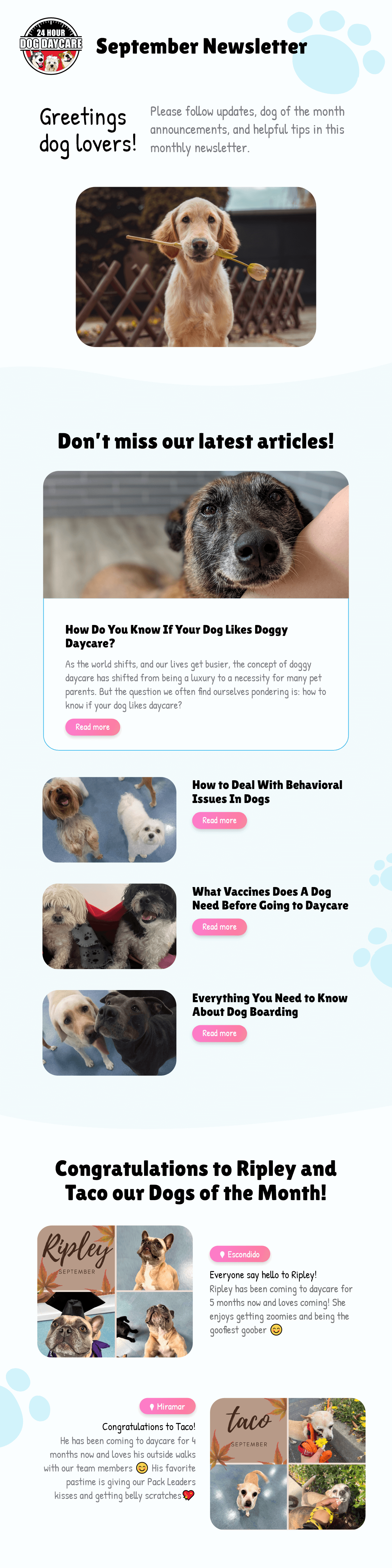 Newsletter