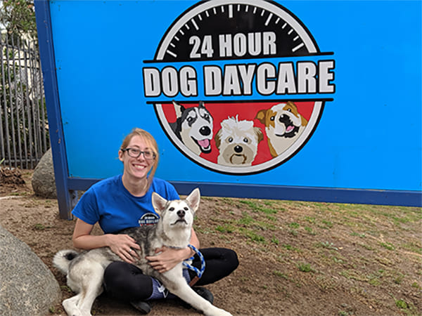 Pet Boarding San Diego North County