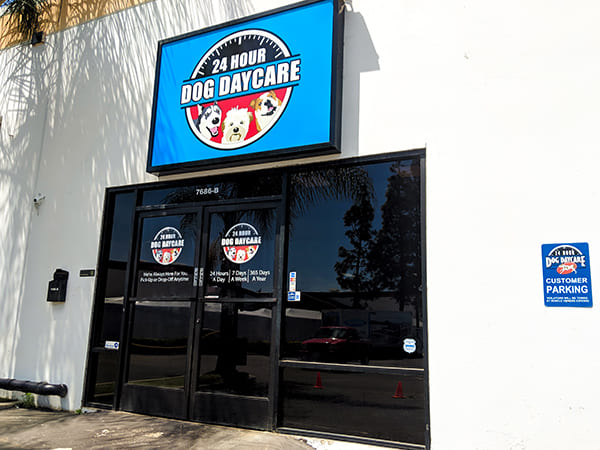 Dog Day Care San Diego