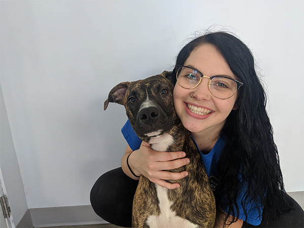 Pet Boarding San Diego North County
