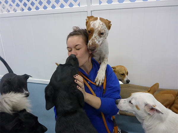 Dog Day Care San Diego