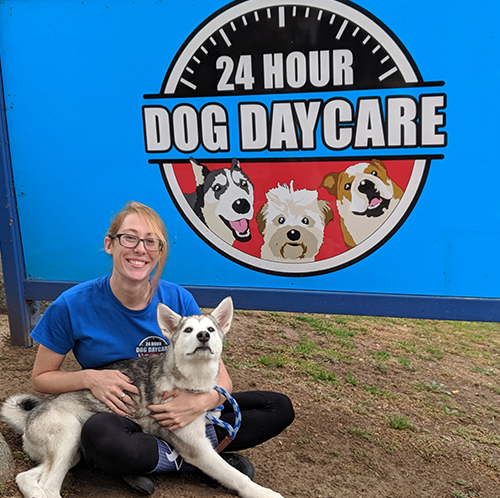 24 hr doggy day care