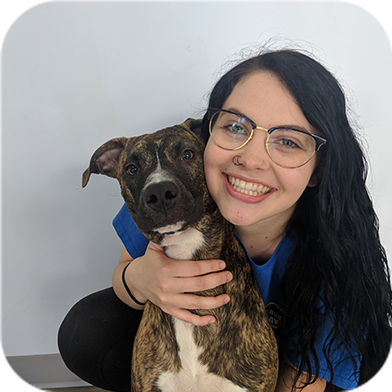 Dog	Image