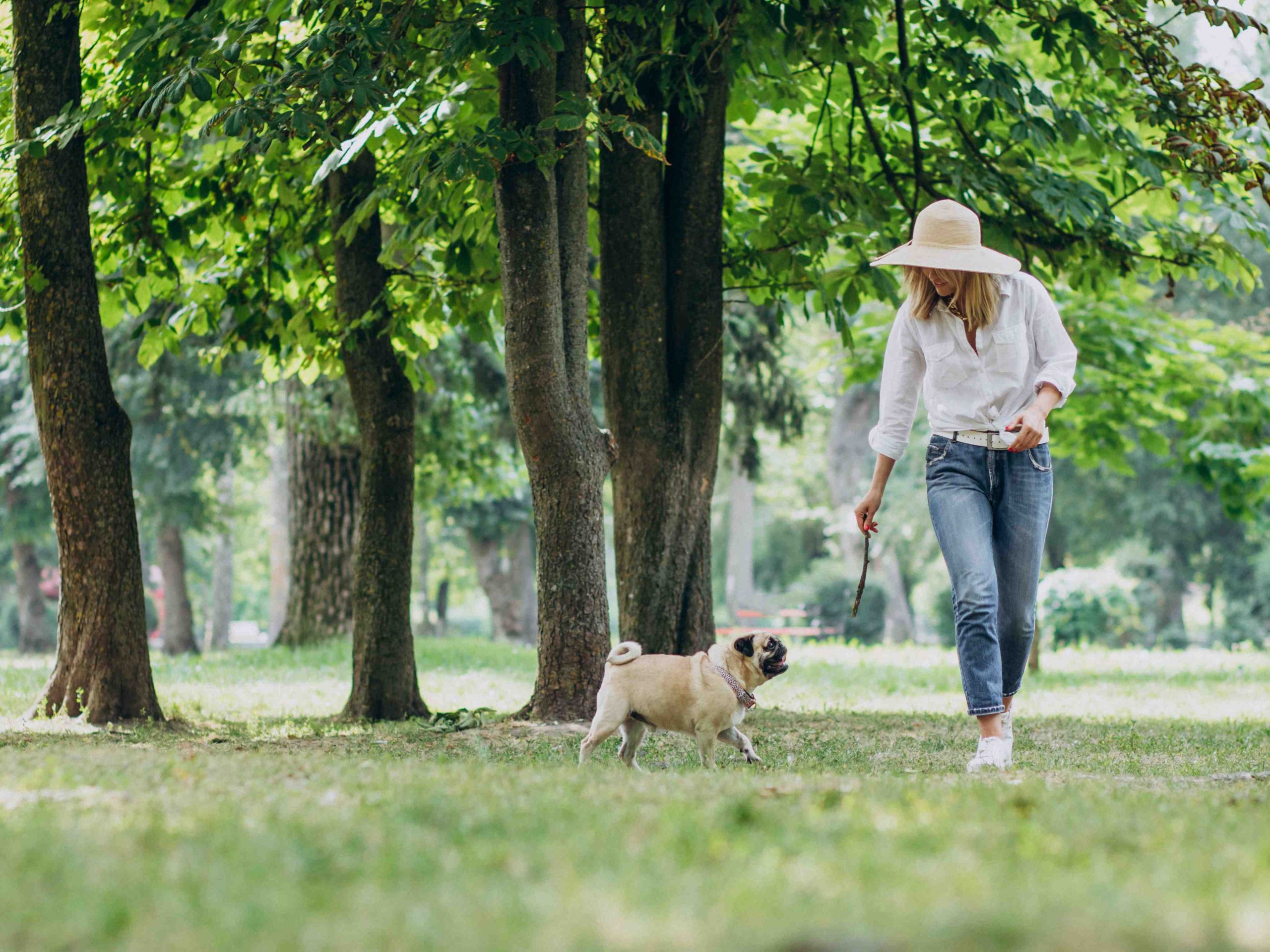 Give Your Dog the San Diego Tour