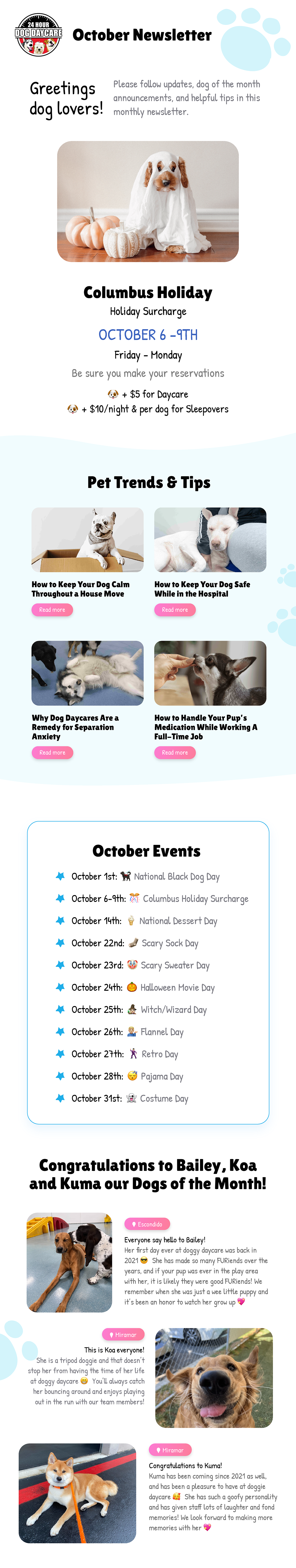 Newsletter